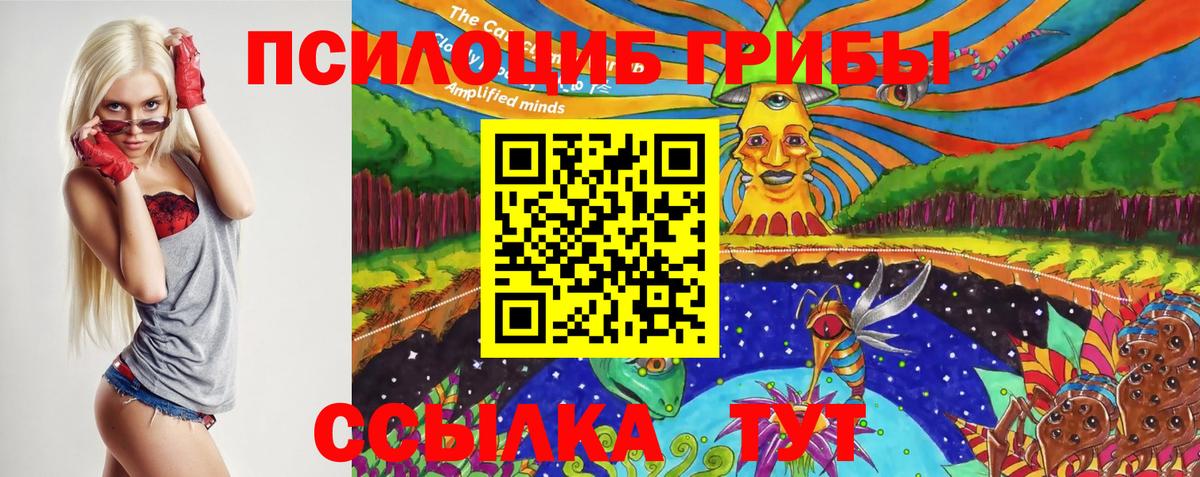 Псилоцибиновые грибы Psilocybe  Вход с VPN  Керчь 