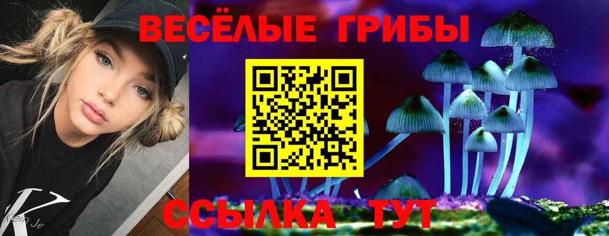 Псилоцибиновые грибы мухоморы Керчь